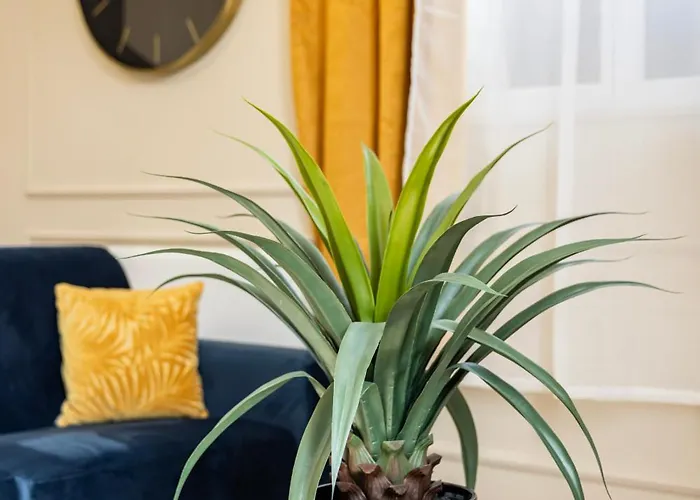 De Prestige Le Diamant - 55m2 Périgueux